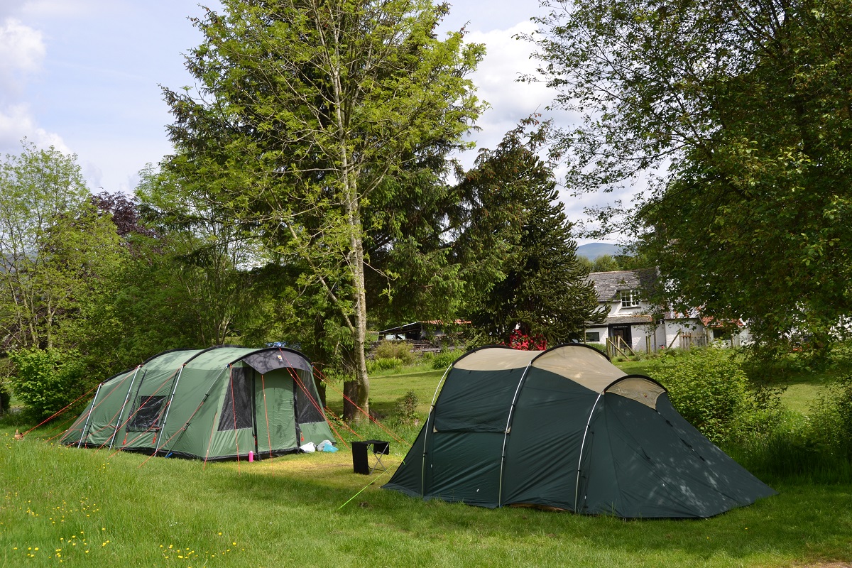Meadow Field - May half term